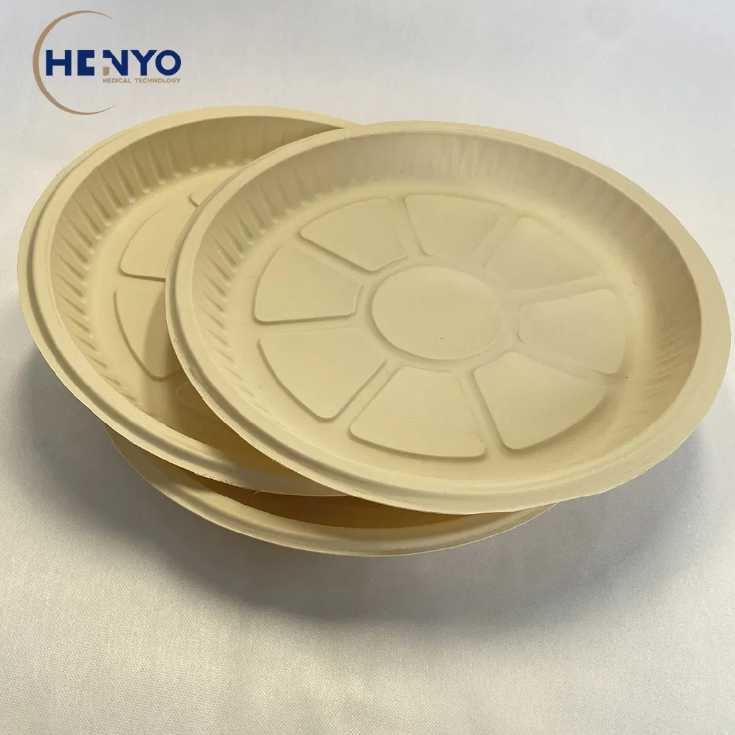 Food Grade Eco-Friendly Plastic Product Pet Plastic Food Tray