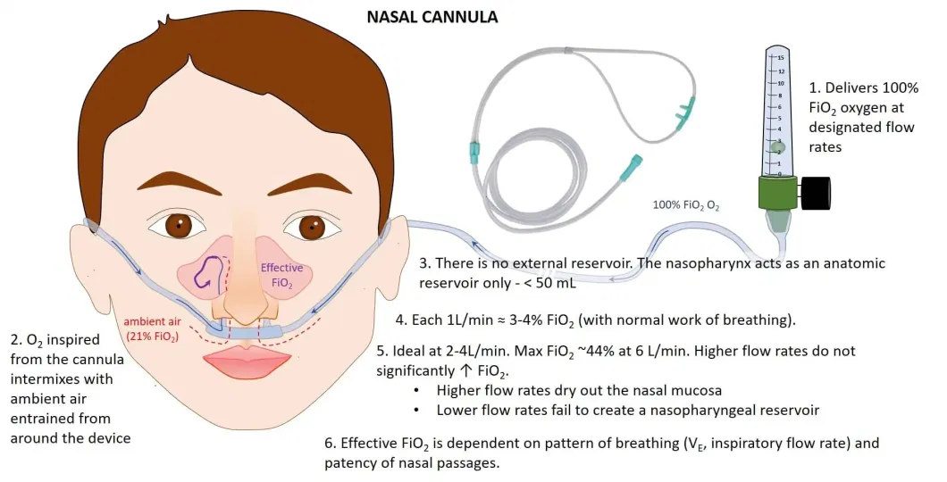 Medical Disposable Sterile Nasal Oxygen Cannula Tube PVC Transparent Green