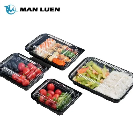 직사각형 테이크아웃 플라스틱 포장 도시락